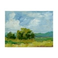thumbnail image 1 of Trademark Fine Art 'Field Color Study I' Canvas Art by Ethan Harper, 1 of 1