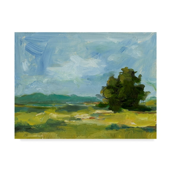 Trademark Fine Art 'Field Color Study II' Canvas Art by Ethan Harper