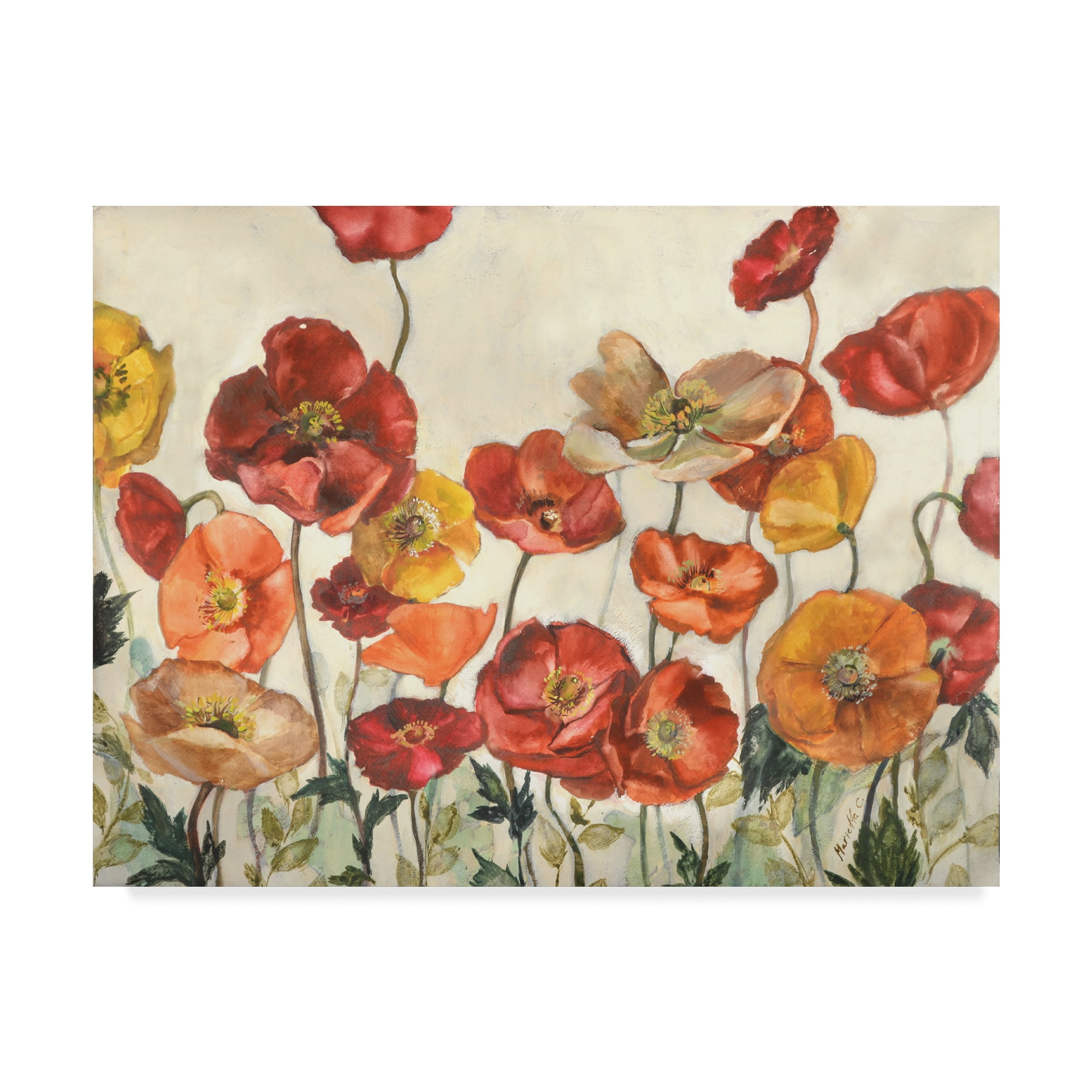 Trademark Fine Art 'Field Of Poppies Red' Canvas Art by Marietta Cohen Art And Design