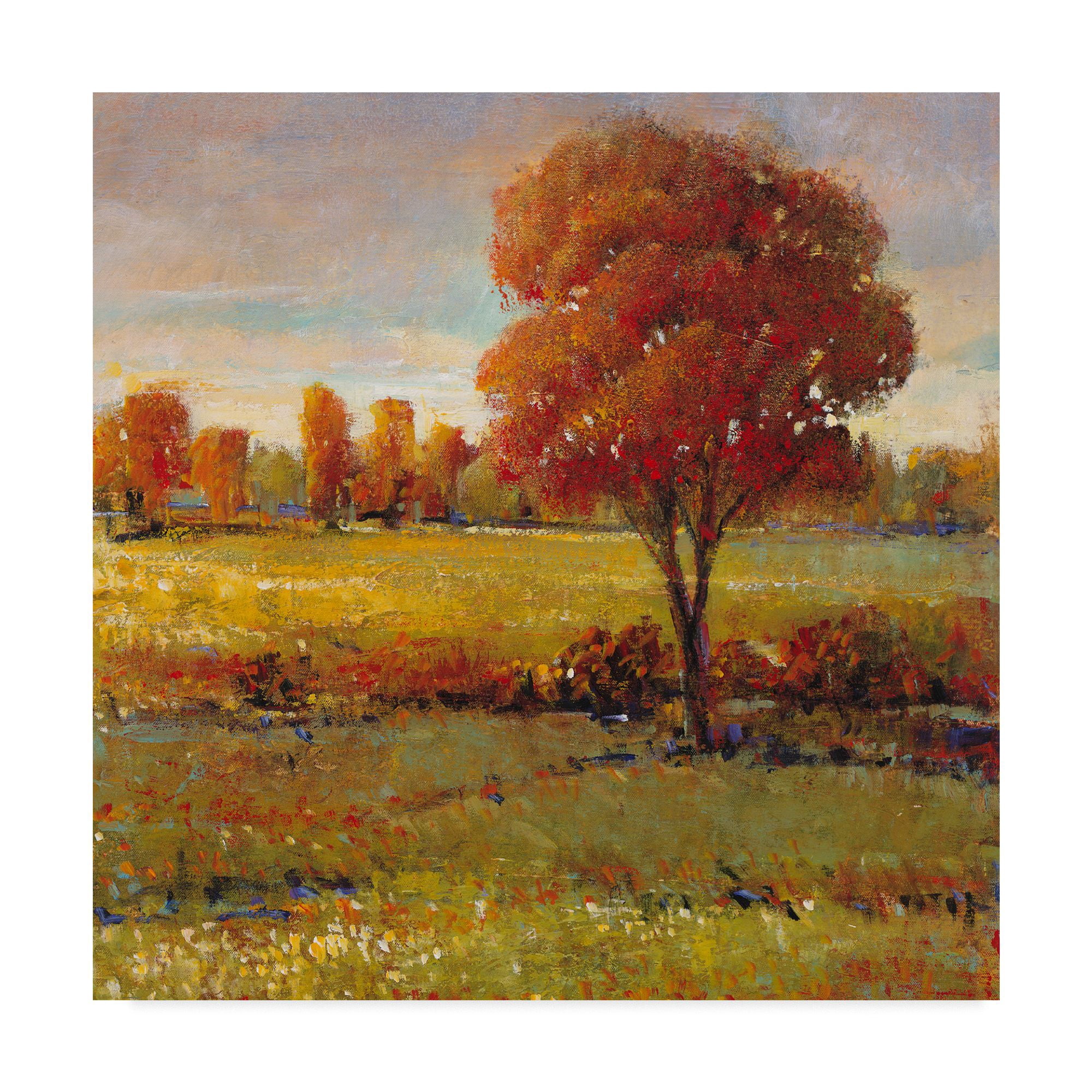 Trademark Fine Art 'Field in Fall' Canvas Art by Tim OToole