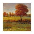 thumbnail image 1 of Trademark Fine Art 'Field in Fall' Canvas Art by Tim OToole, 1 of 4