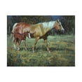 thumbnail image 1 of Trademark Fine Art 'Field of Dreams Horses' Canvas Art by Jack Sorenson, 1 of 4