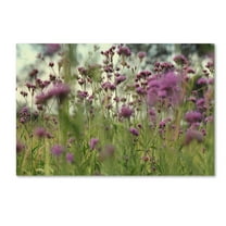 Trademark Fine Art "Field of Purple" Canvas Art by Beata Czyzowska Young