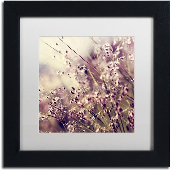 Trademark Fine Art "Field of Sunshine" Canvas Art by Beata Czyzowska Young, White Matte, Black Frame