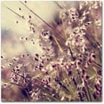 thumbnail image 1 of Trademark Fine Art "Field of Sunshine" Canvas Art by Beata Czyzowska Young, 1 of 4