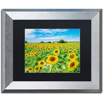 Trademark Fine Art "Field of Yellow" Canvas Art by Michael Blanchette Photography Black Matte, Silver Frame