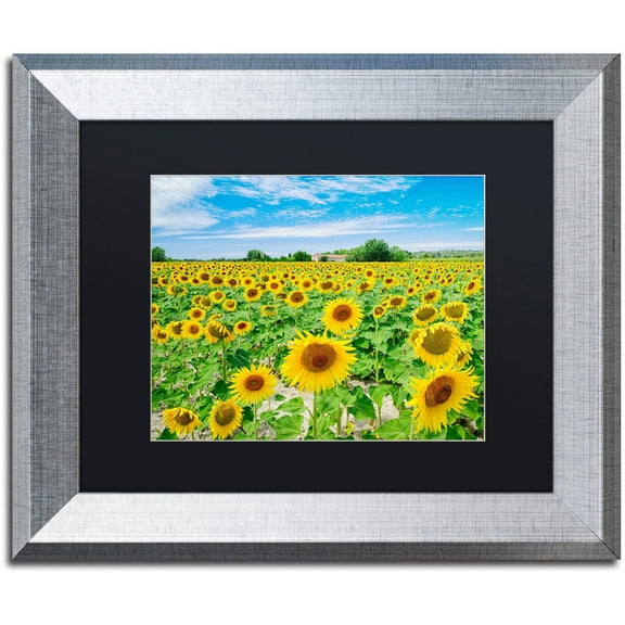 Trademark Fine Art "Field of Yellow" Canvas Art by Michael Blanchette Photography Black Matte, Silver Frame