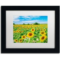 Trademark Fine Art "Field of Yellow" Canvas Art by Michael Blanchette Photography White Matte, Black Frame