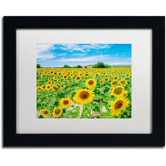 Trademark Fine Art "Field of Yellow" Canvas Art by Michael Blanchette Photography White Matte, Black Frame
