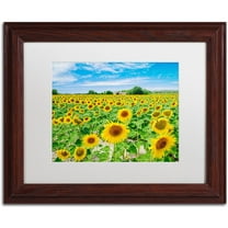 Trademark Fine Art "Field of Yellow" Canvas Art by Michael Blanchette Photography White Matte, Wood Frame