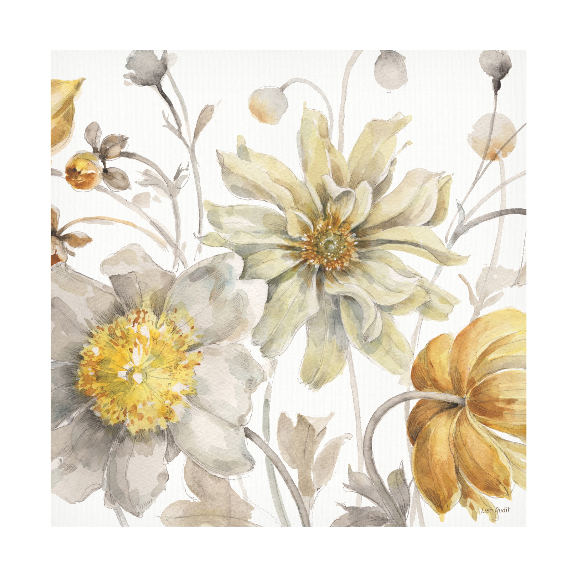 Trademark Fine Art 'Fields of Gold III' Canvas Art by Lisa Audit
