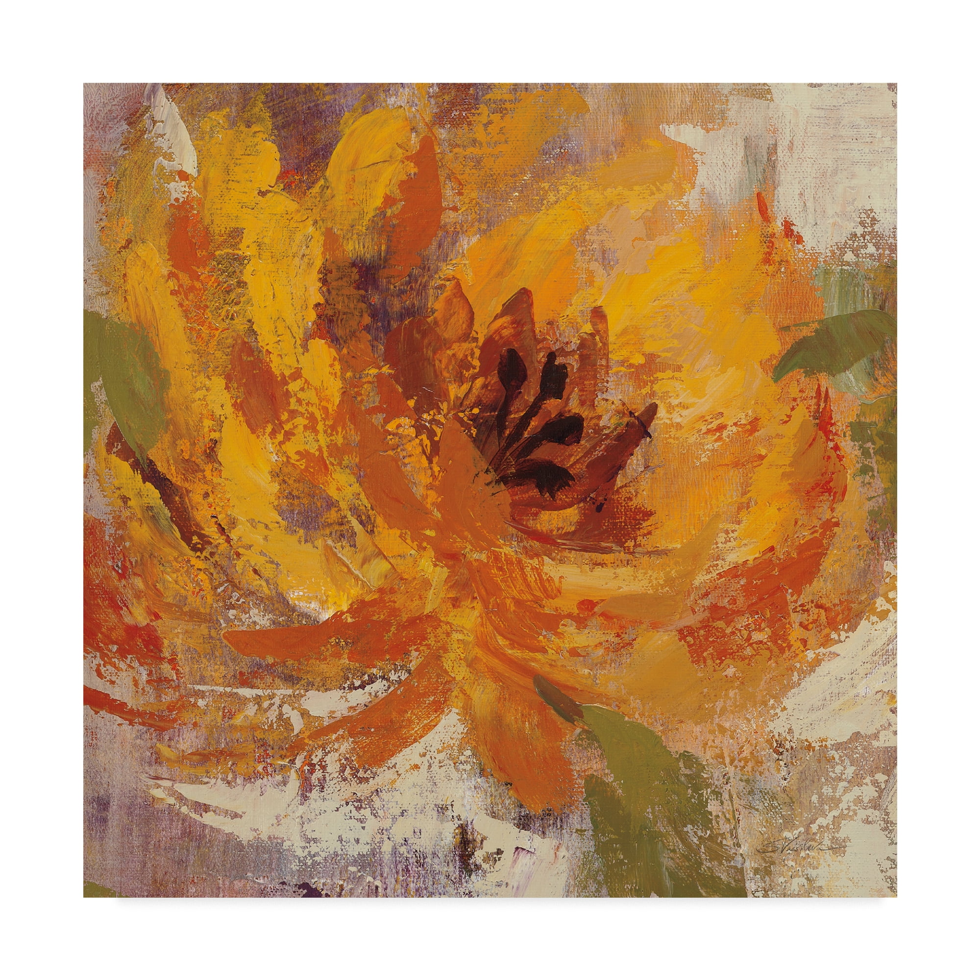 Trademark Fine Art 'Fiery Dahlias I' Canvas Art by Silvia Vassileva