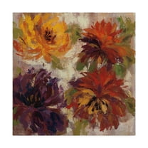 Trademark Fine Art 'Fiery Dahlias I' Canvas Art by Silvia Vassileva