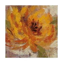 Trademark Fine Art 'Fiery Dahlias I Crop' Canvas Art by Silvia Vassileva