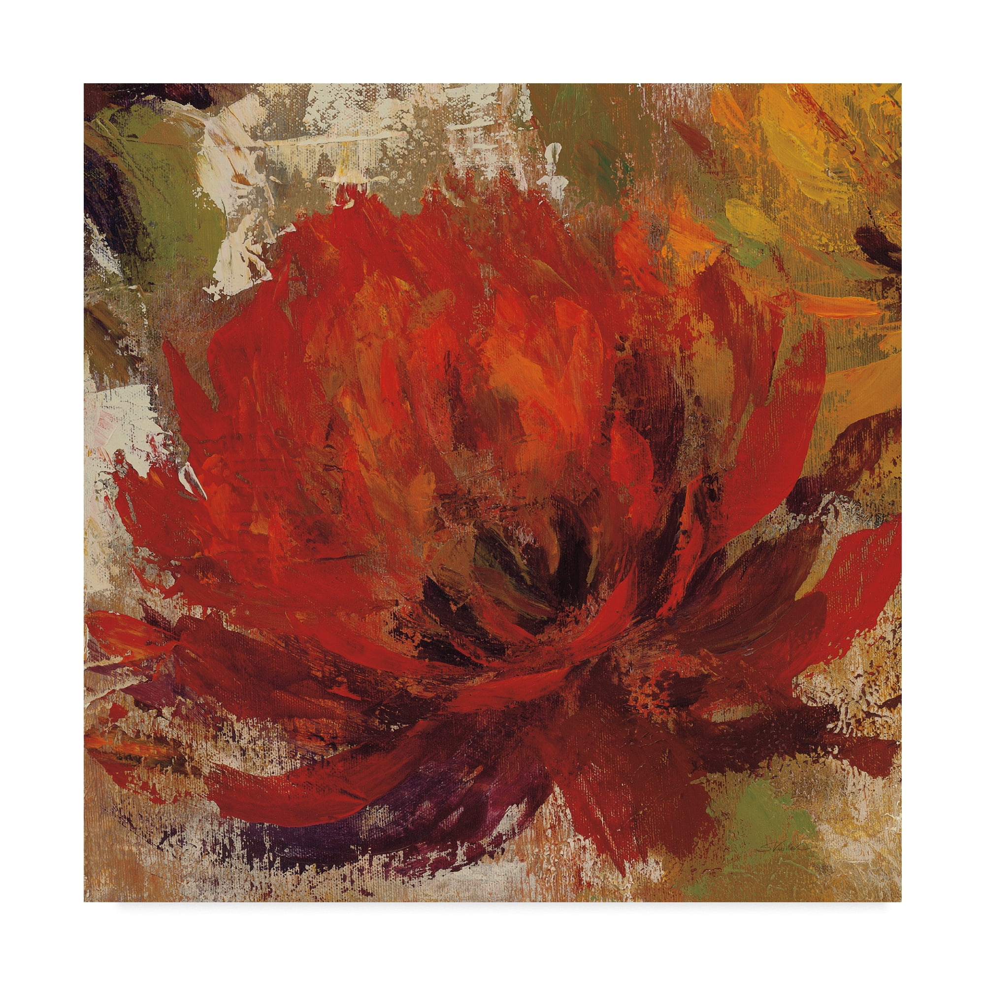 Trademark Fine Art 'Fiery Dahlias II Crop' Canvas Art by Silvia Vassileva