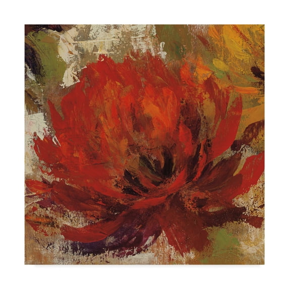 Trademark Fine Art 'Fiery Dahlias II Crop' Canvas Art by Silvia Vassileva