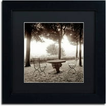 Trademark Fine Art "Fiesloe Giardini I" Canvas Art by Alan Blaustein, Black Matte, Black Frame