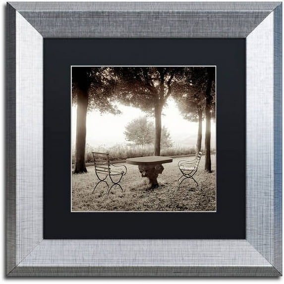 Trademark Fine Art "Fiesloe Giardini I" Canvas Art by Alan Blaustein, Black Matte, Silver Frame