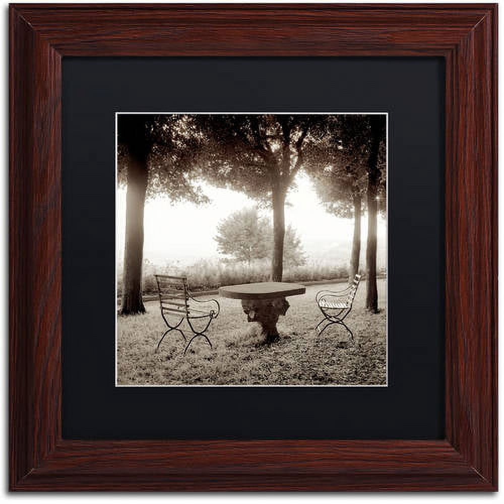 Trademark Fine Art "Fiesloe Giardini I" Canvas Art by Alan Blaustein, Black Matte, Wood Frame