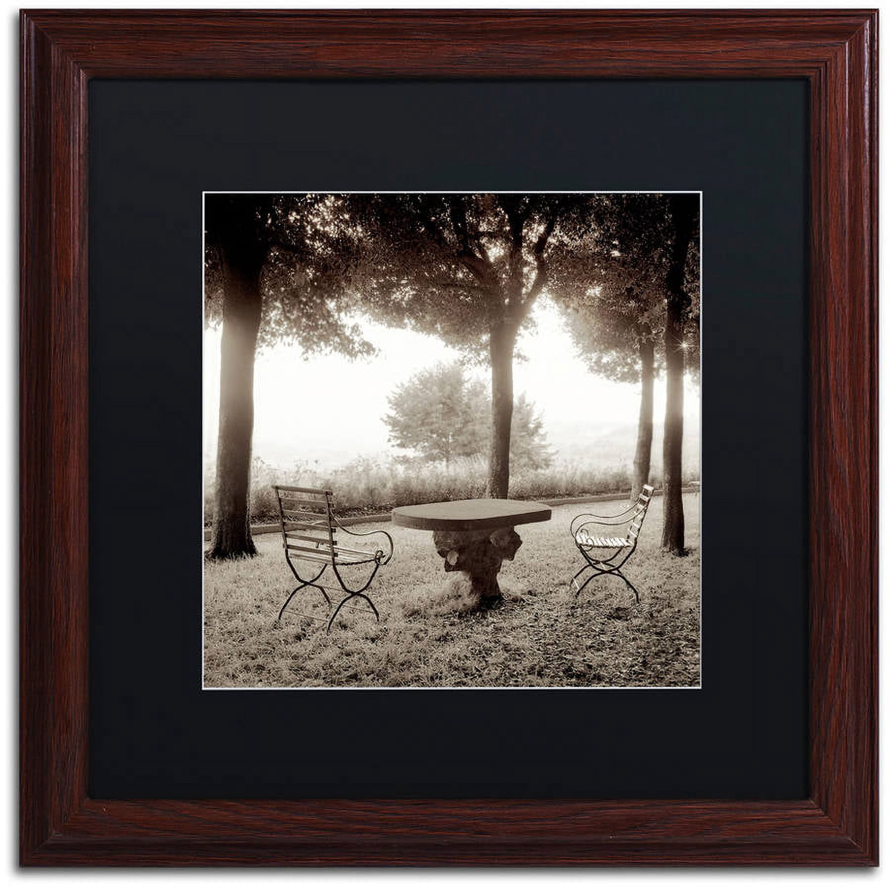 Trademark Fine Art "Fiesloe Giardini I" Canvas Art by Alan Blaustein, Black Matte, Wood Frame