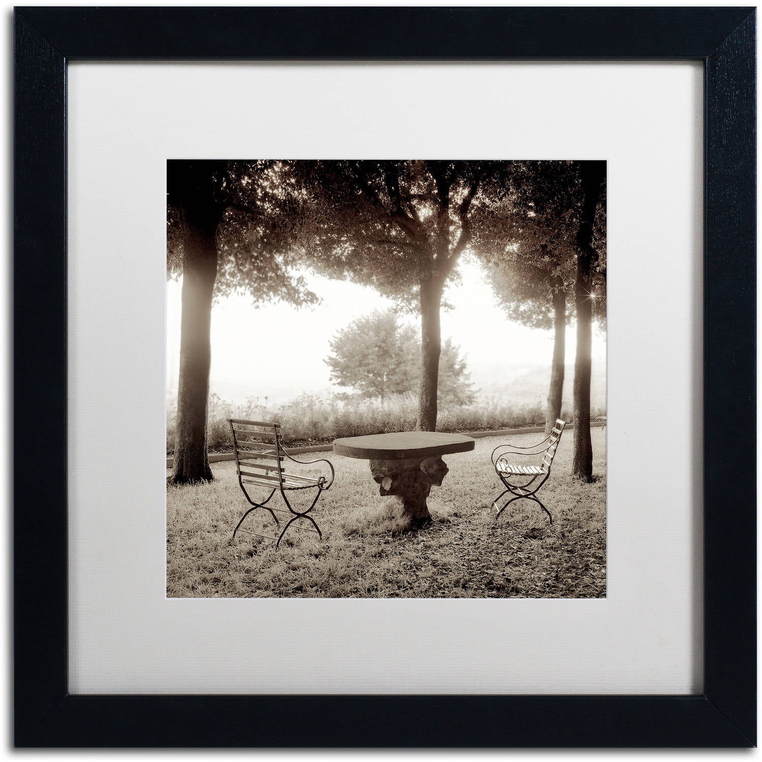 Trademark Fine Art "Fiesloe Giardini I" Canvas Art by Alan Blaustein, White Matte, Black Frame