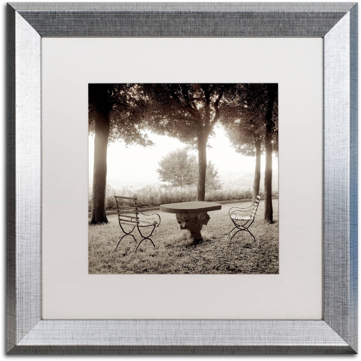 Trademark Fine Art "Fiesloe Giardini I" Canvas Art by Alan Blaustein, White Matte, Silver Frame