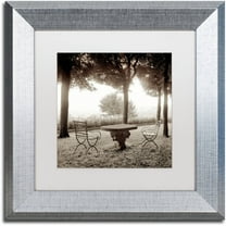 Trademark Fine Art "Fiesloe Giardini I" Canvas Art by Alan Blaustein, White Matte, Silver Frame