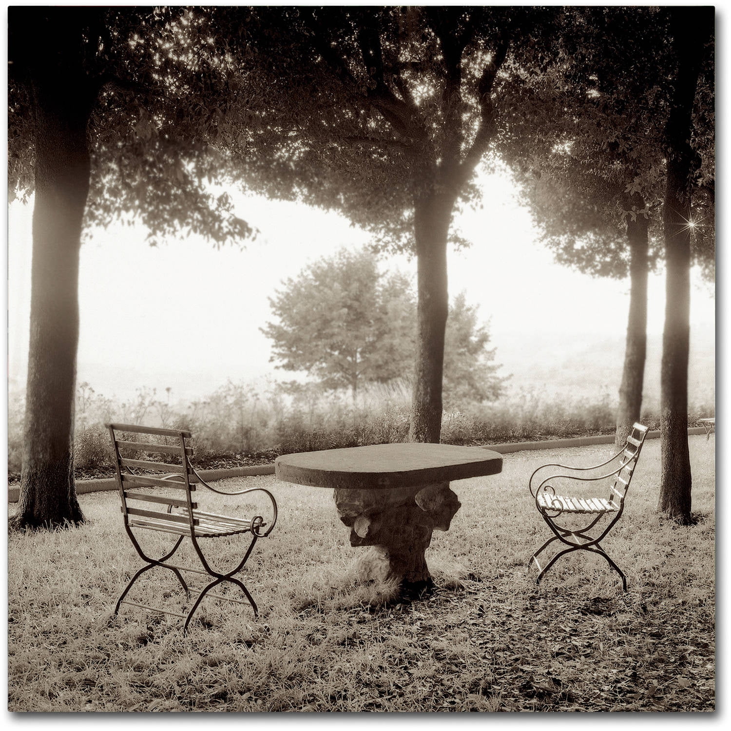 Trademark Fine Art "Fiesloe Giardini I" Canvas Art by Alan Blaustein