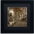 thumbnail image 1 of Trademark Fine Art "Fiesole Giardini II" Canvas Art by Alan Blaustein, Black Matte, Black Frame, 1 of 4