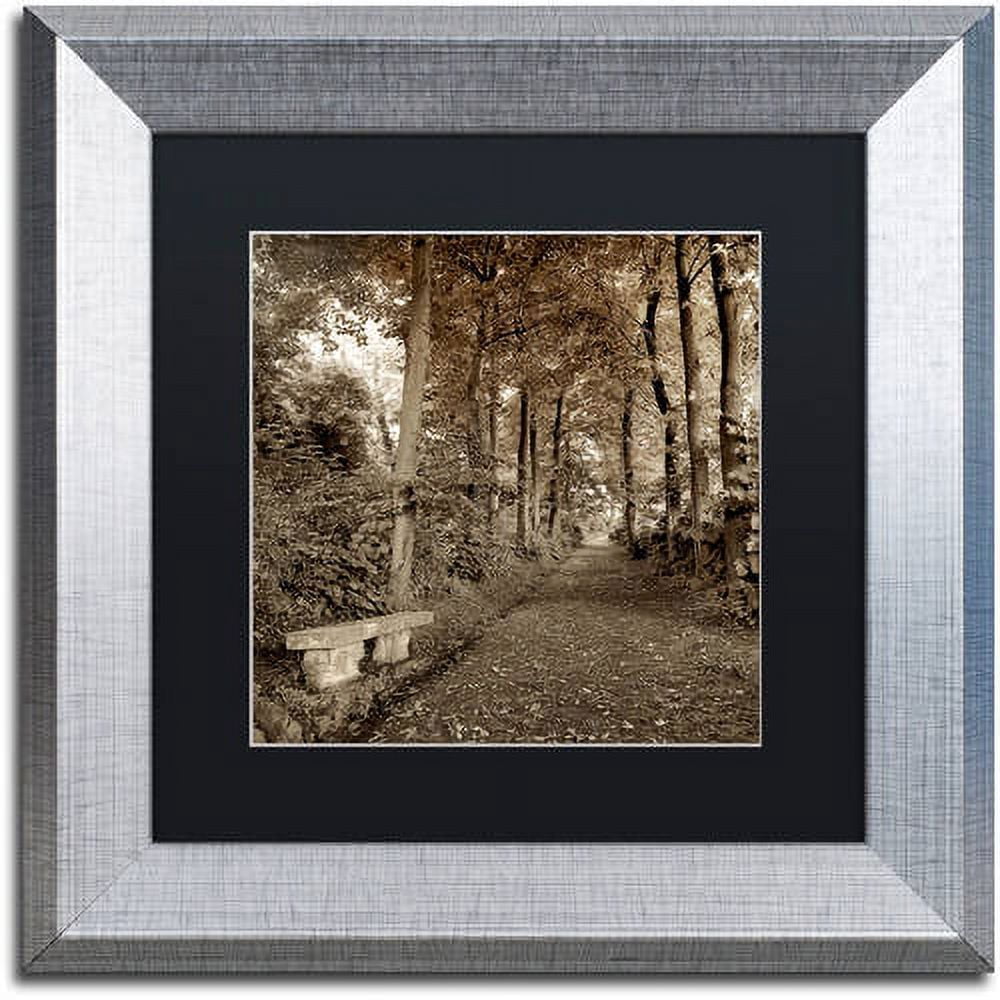 Trademark Fine Art "Fiesole Giardini II" Canvas Art by Alan Blaustein, Black Matte, Silver Frame