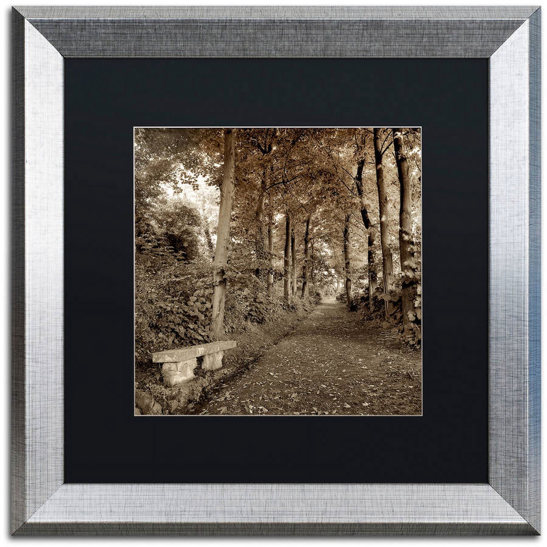 Trademark Fine Art "Fiesole Giardini II" Canvas Art by Alan Blaustein, Black Matte, Silver Frame
