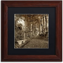 Trademark Fine Art "Fiesole Giardini II" Canvas Art by Alan Blaustein, Black Matte, Wood Frame