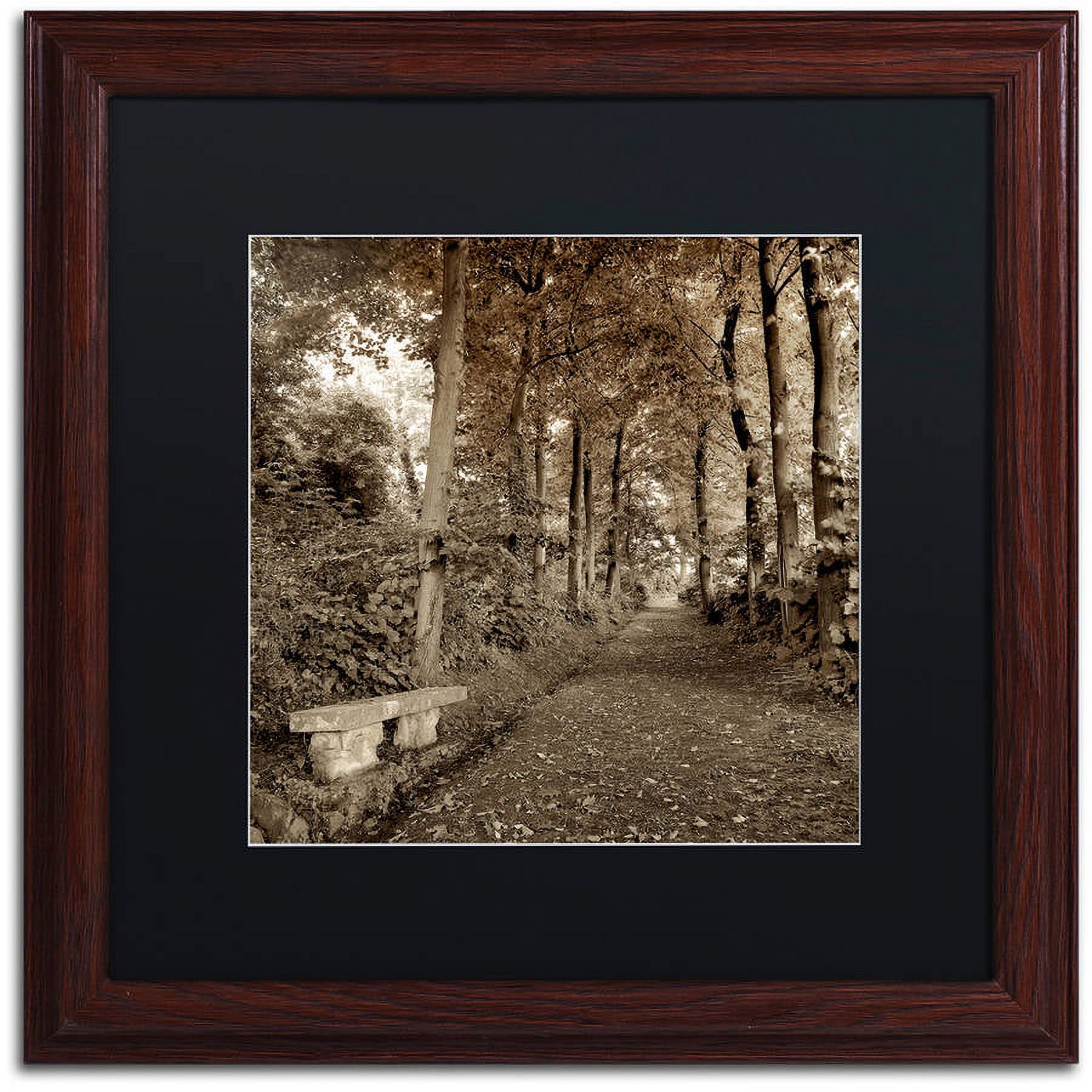Trademark Fine Art "Fiesole Giardini II" Canvas Art by Alan Blaustein, Black Matte, Wood Frame