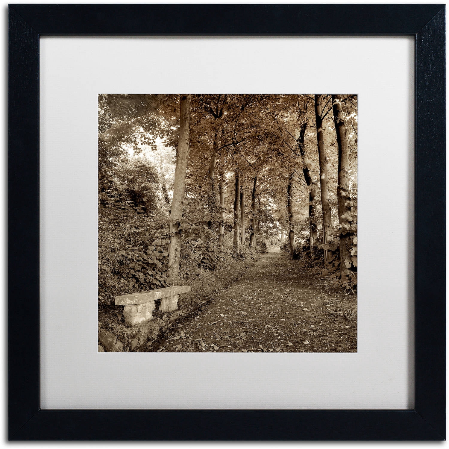 Trademark Fine Art "Fiesole Giardini II" Canvas Art by Alan Blaustein, White Matte, Black Frame