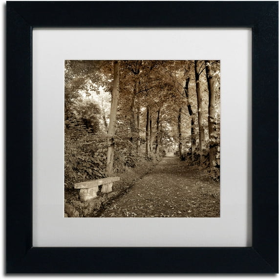 Trademark Fine Art "Fiesole Giardini II" Canvas Art by Alan Blaustein, White Matte, Black Frame