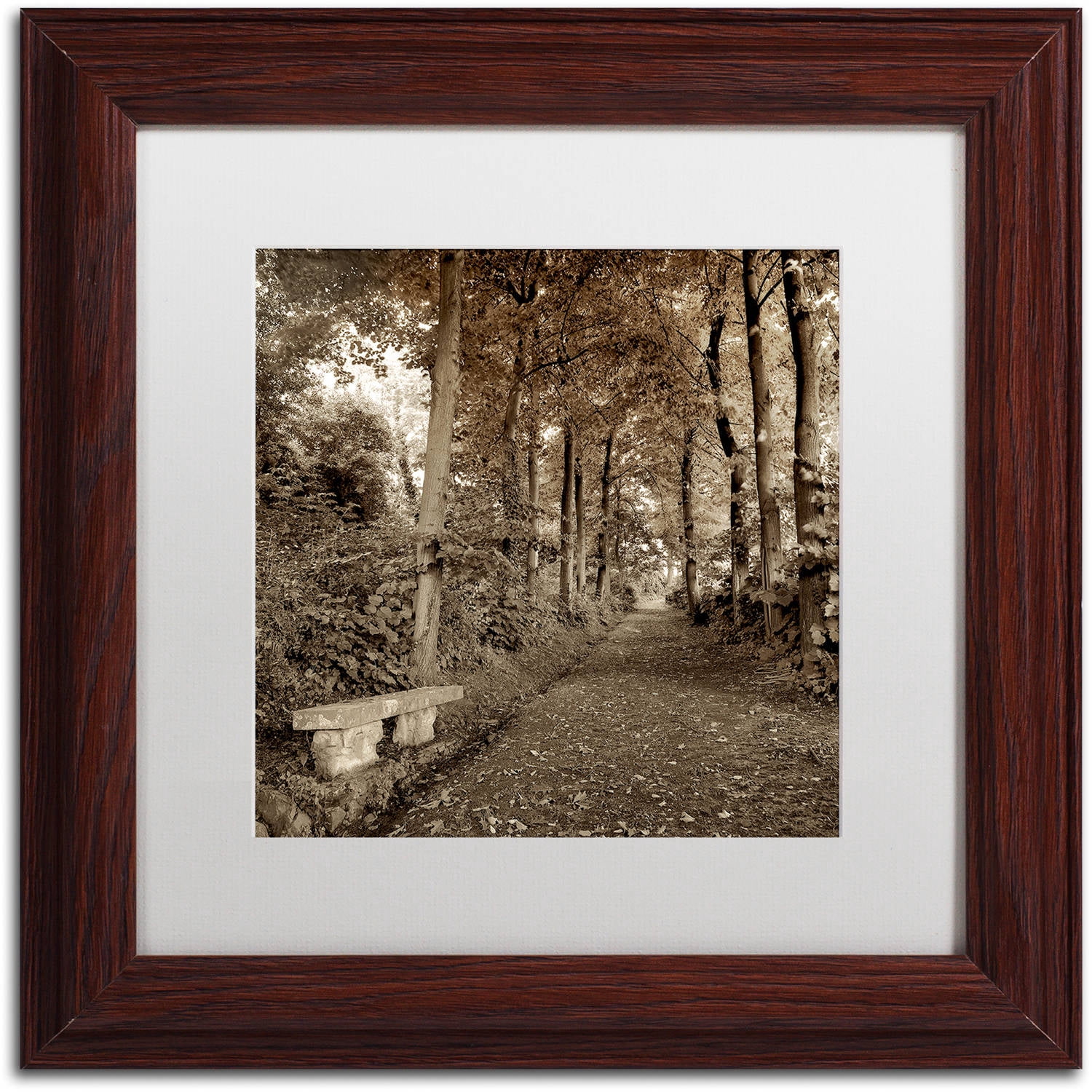 Trademark Fine Art "Fiesole Giardini II" Canvas Art by Alan Blaustein, White Matte, Wood Frame