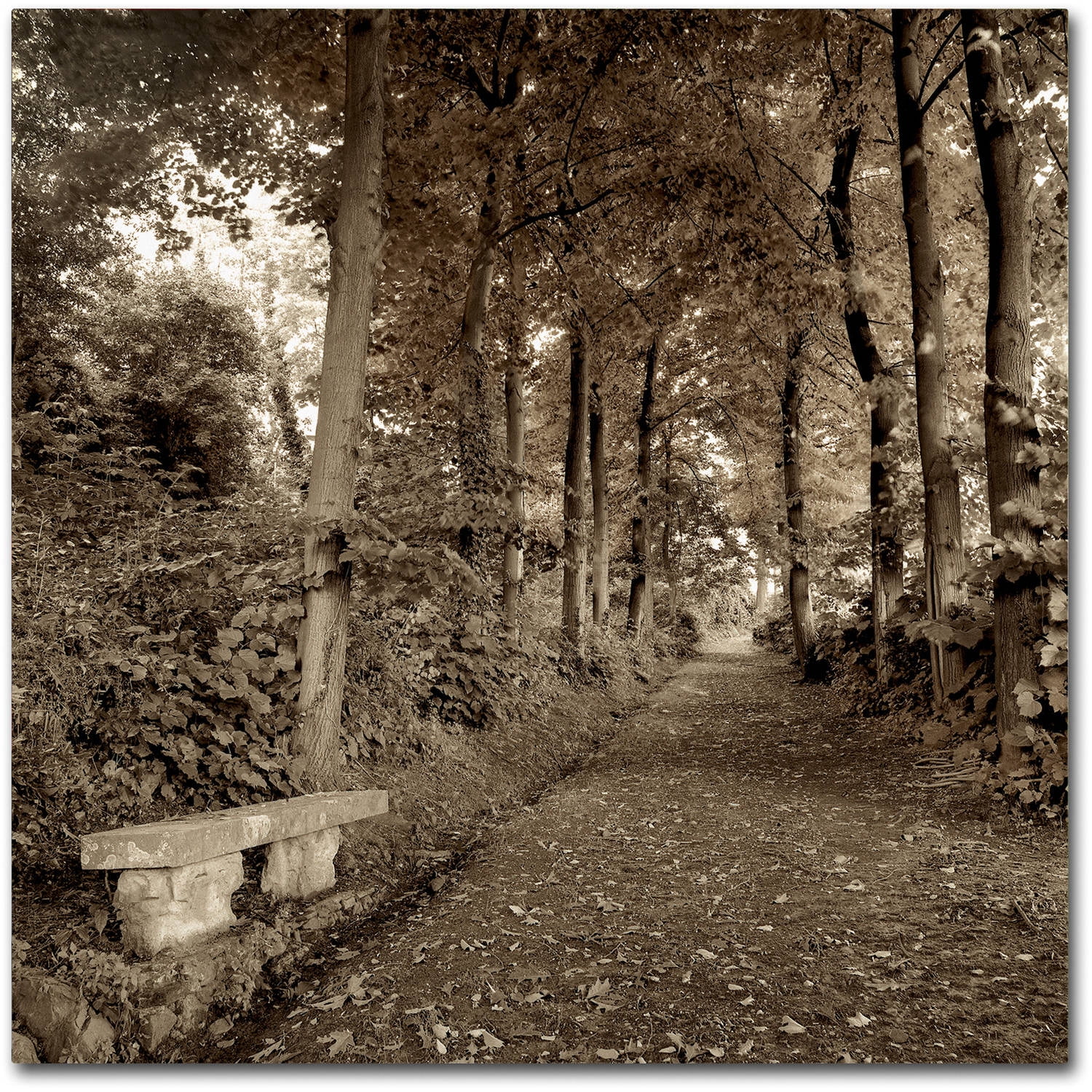 Trademark Fine Art "Fiesole Giardini II" Canvas Art by Alan Blaustein