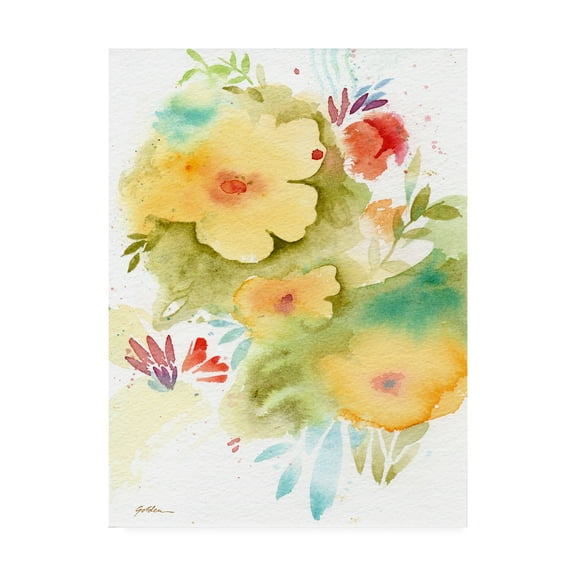 Trademark Fine Art 'Fiesta Flowers' Canvas Art by Sheila Golde