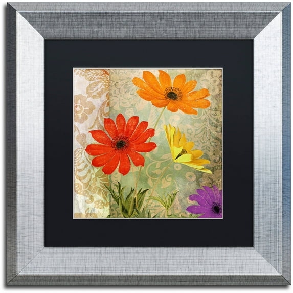 Trademark Fine Art "Fiesta I" Canvas Art by Color Bakery Black Matte, Silver Frame