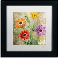 thumbnail image 1 of Trademark Fine Art "Fiesta II" Canvas Art by Color Bakery White Matte, Black Frame, 1 of 1