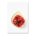 thumbnail image 1 of Trademark Fine Art 'Fig In Half' Canvas Art by Johanna, 1 of 3