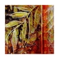 thumbnail image 1 of Trademark Fine Art 'Fillmore I' Canvas Art by Danielle Harrington, 1 of 4