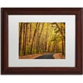 thumbnail image 1 of Trademark Fine Art "Findlay Road" Canvas Art by Jason Shaffer, White Matte, Wood Frame, 1 of 1