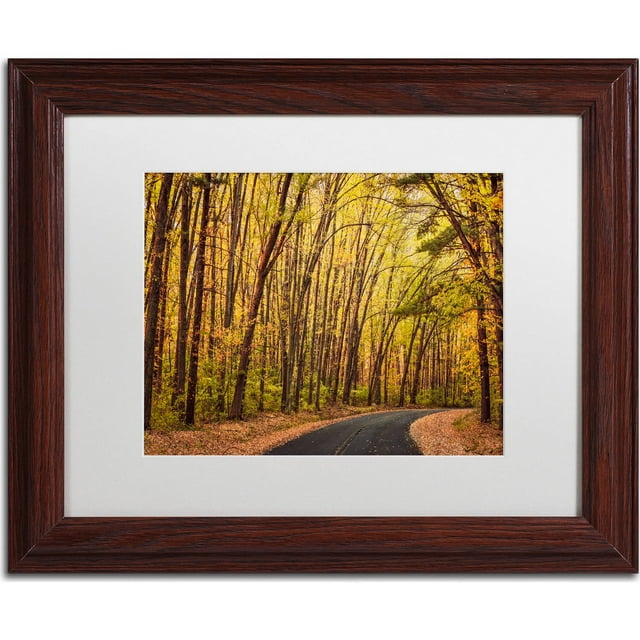 Trademark Fine Art "Findlay Road" Canvas Art by Jason Shaffer, White Matte, Wood Frame
