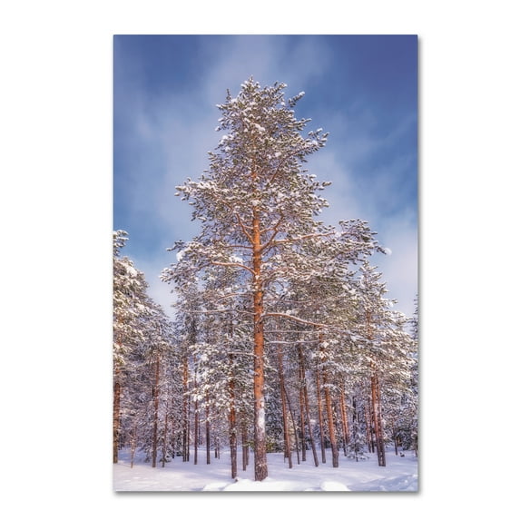 Trademark Fine Art 'Finnish Forest' Canvas Art by Philippe Sainte-Laudy