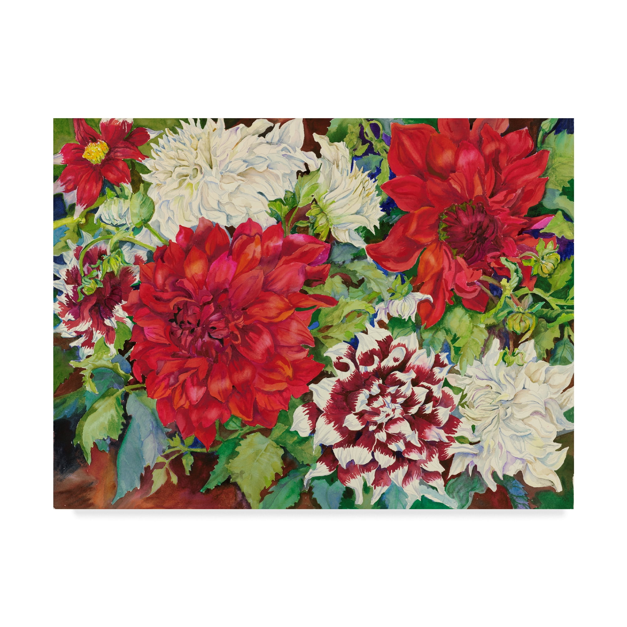 Trademark Fine Art 'Fire And Ice' Canvas Art by Joanne Porter
