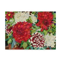 Trademark Fine Art 'Fire And Ice' Canvas Art by Joanne Porter