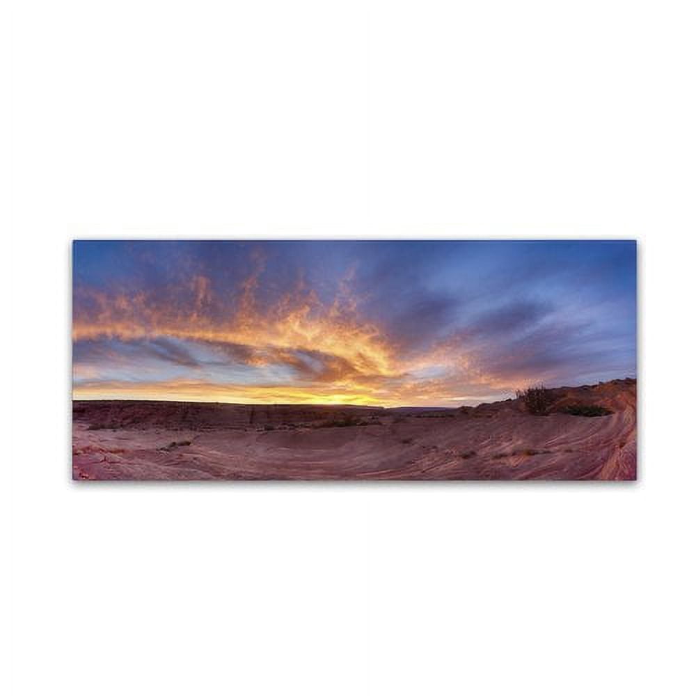 Trademark Fine Art "Fire Clean" Canvas Art by Moises Levy