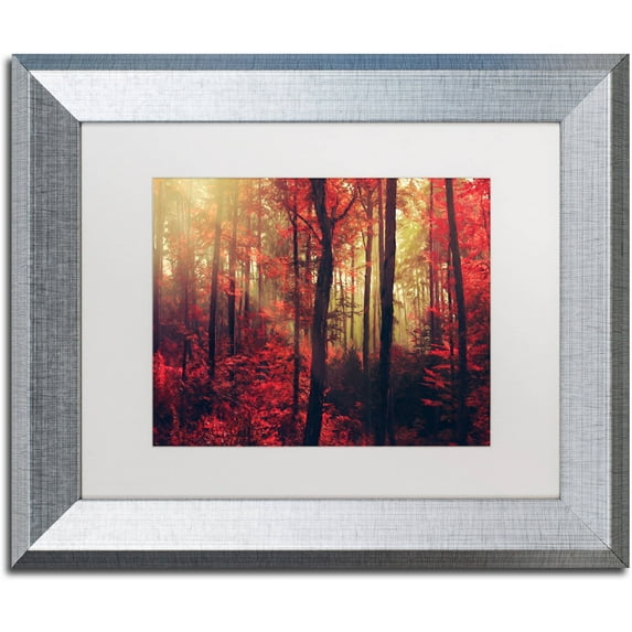 Trademark Fine Art "Fire Dance" Canvas Art by Philippe Sainte-Laudy White Matte, Silver Frame