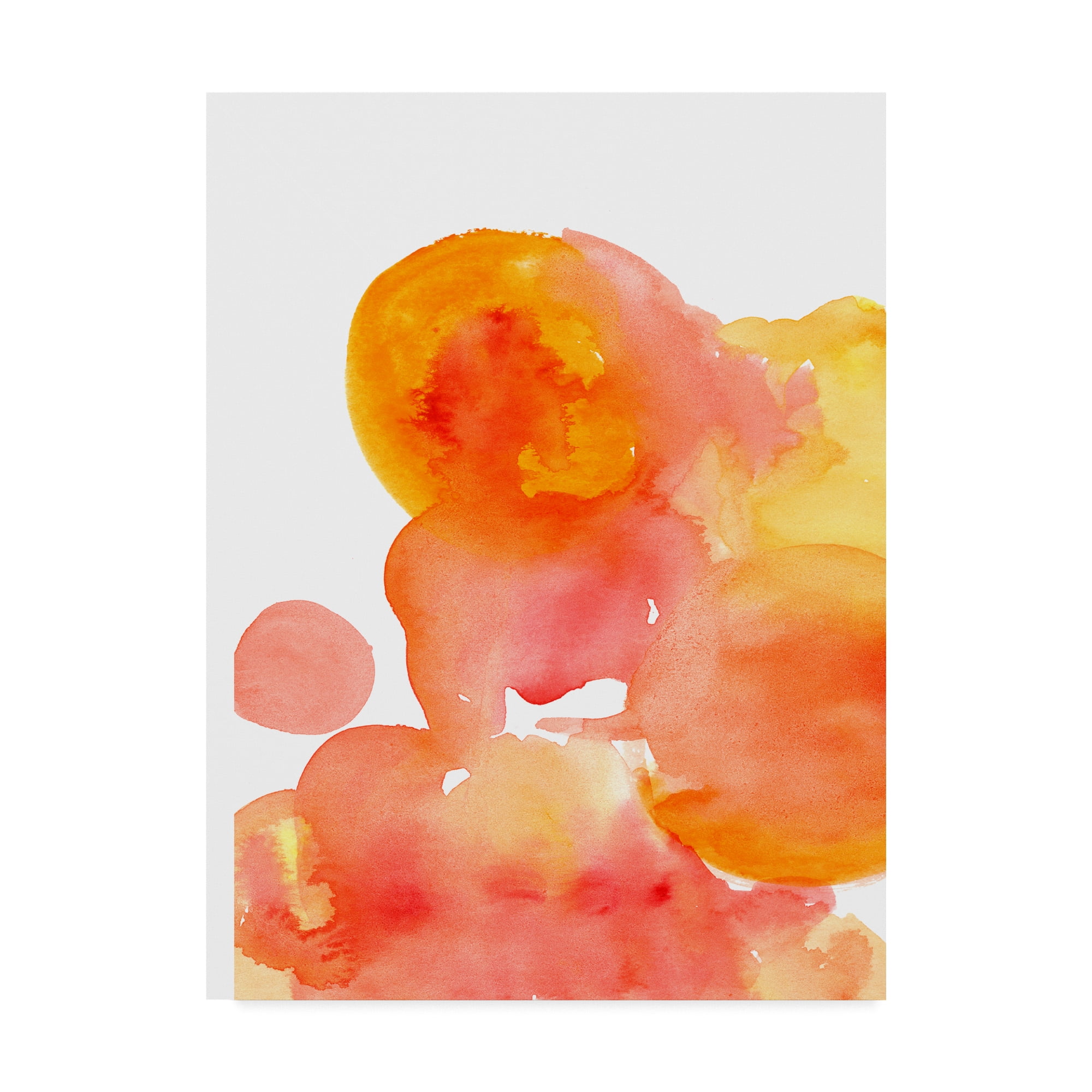 Trademark Fine Art 'Fire Water I' Canvas Art by Deborah Velasquez